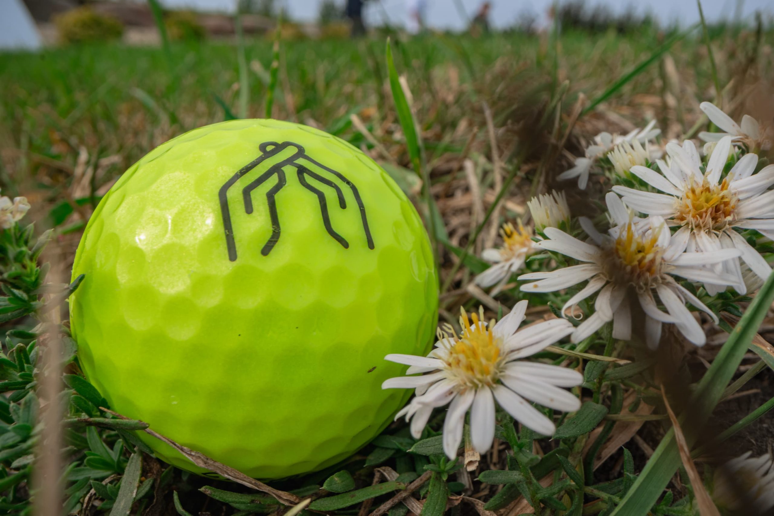 a golf ball with the Mend The Gap logo sits in the grass